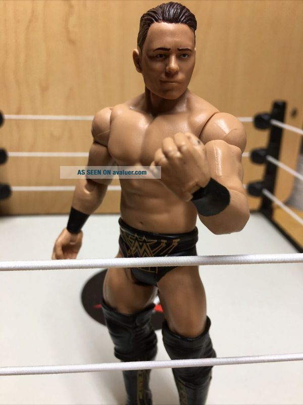 MATTEL WWE BASIC SERIES THE MIZ WRESTLING ACTION FIGURE WWF | #39803439