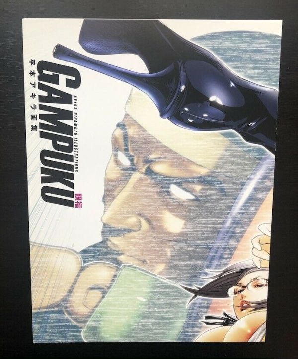Akira Hiramoto Art Book GAMPUKU Prison School Manga Anime Illustration