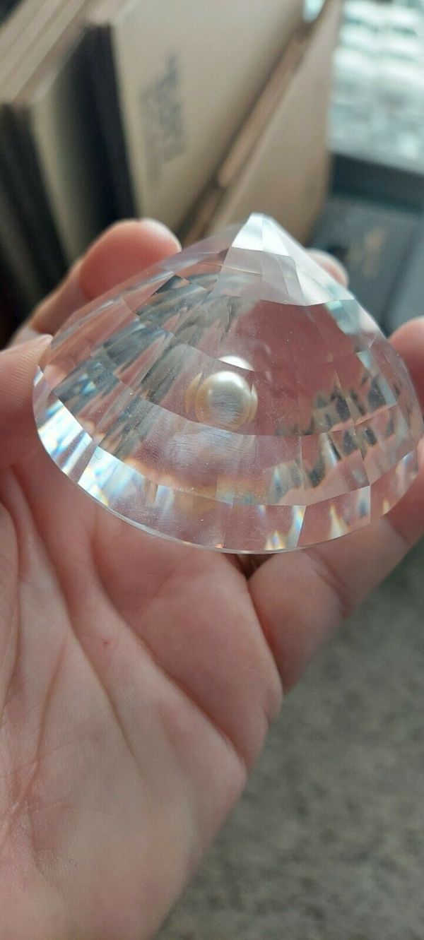 Swarovski Crystal Oyster Shell W/Pearl Figurine Pre Owned, No Box ...
